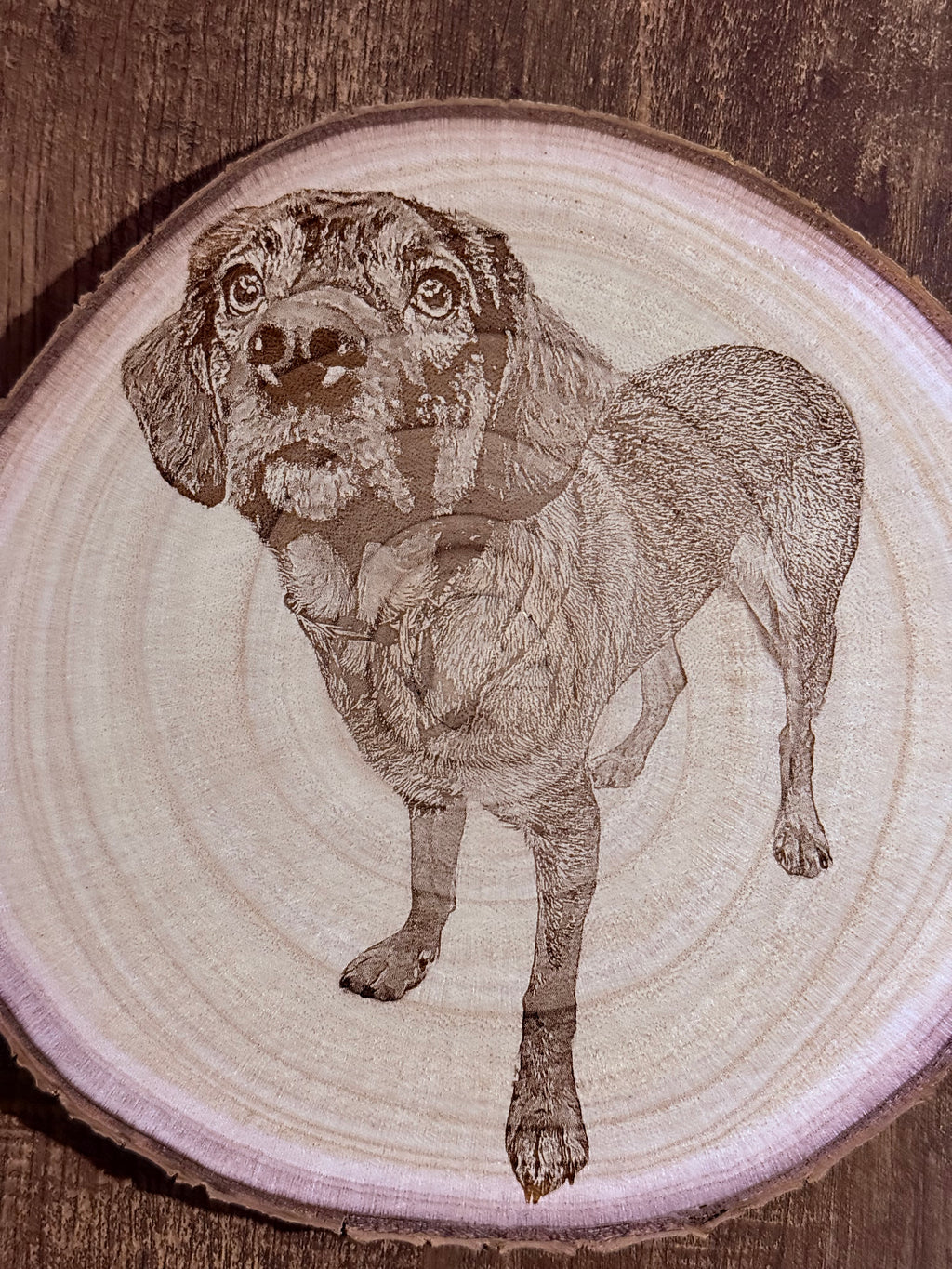 Custom Laser Engraved Wood Portrait — Approx. 9–11 Inches